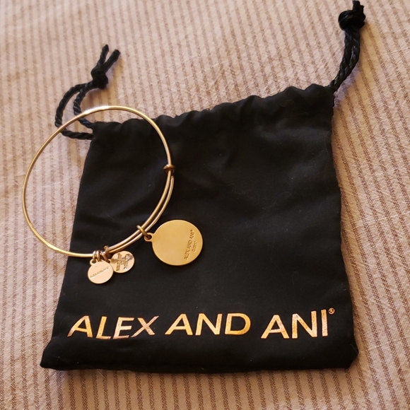 Alex and Ani Mind over Matter Bangle - Picture 4 of 7